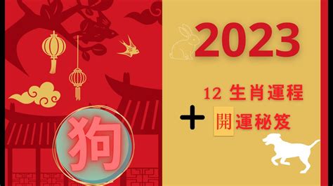 2023 狗年運程|2023年12生肖運勢大全——生肖狗